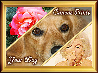 Canvas Prints Wall Art